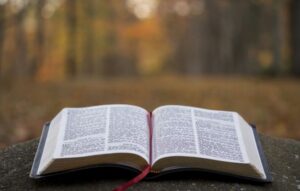 Bible Reading App Enhances Spiritual Growth